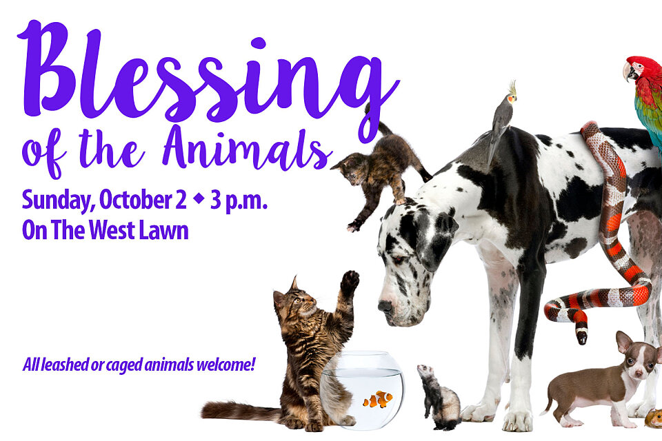 blessing of the animals 2022 copy 2