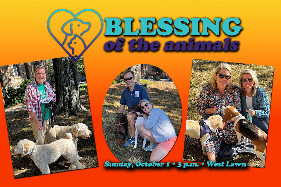 blessing of the animals copy web