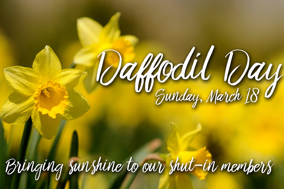 brightsign daffodil day